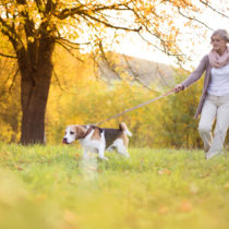 Physical Activity: The Keystone Habit