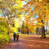 5 Steps Toward Successful Aging