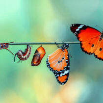 Embracing Change: Navigating your Next Act Resolutions and Beyond